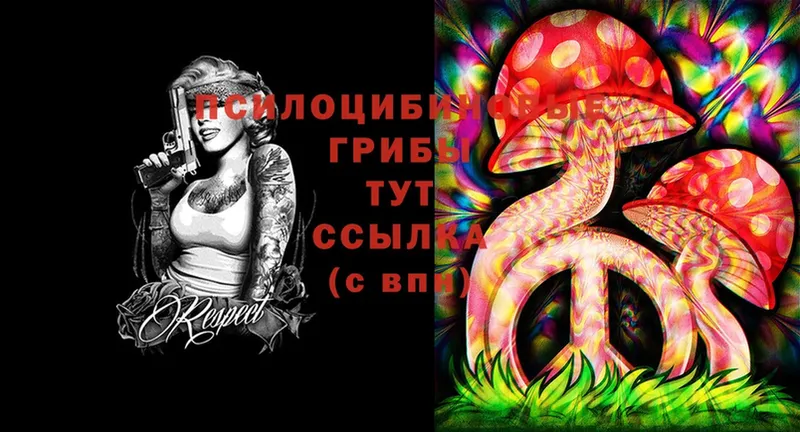 МЕГА ссылки  Саки  Галлюциногенные грибы MAGIC MUSHROOMS 